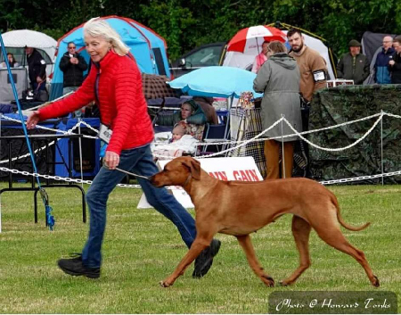 (photo(c)Howard Tonks)